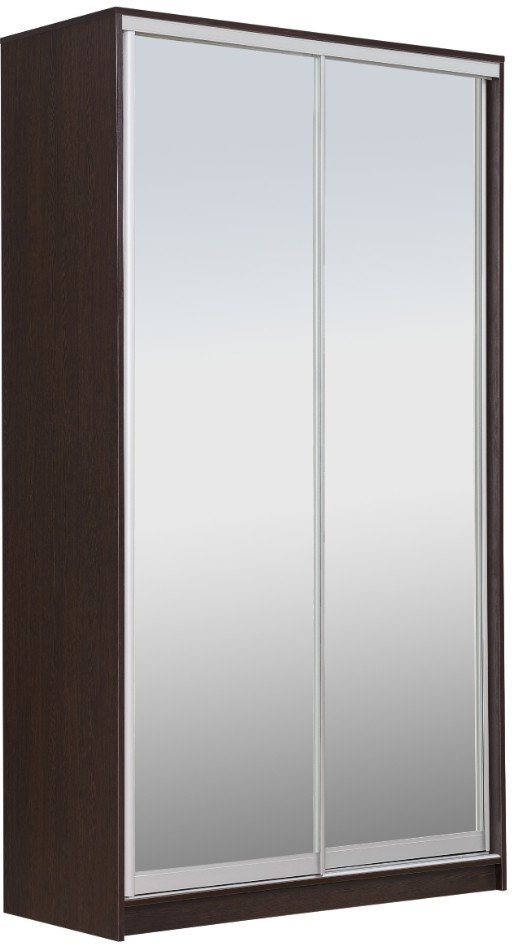 

Шкаф-купе Рэйгрупп 138450 VVX Elgon РГ-05.04 (венге/венге/хром)