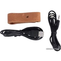 Беспроводная колонка InterStep SBS-230 (черный)