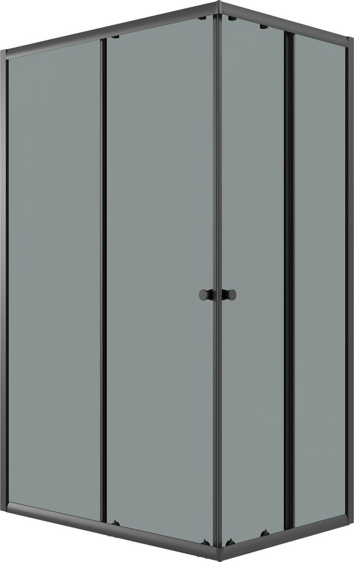 Душевой уголок Niagara Eco NG-1018-14QT 100x80x190 (черный/стекло тонированное)