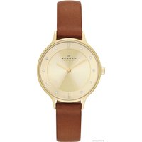 Наручные часы Skagen SKW2147