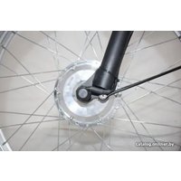 Электровелосипед GreenCamel Trike-24 R24 (250W 48V 15Ah, синий)