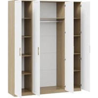 Шкаф-купе Трия Сэнди с 4-мя дверями (вяз благородный/серый вулкан)