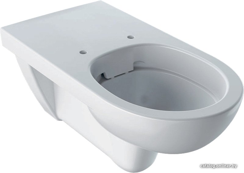 Унитаз подвесной Geberit Selnova Comfort 500.262.01.1 (без сиденья)
