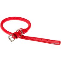 Ошейник Ferplast Vogue Cord CF10/48 76122622 (красный)