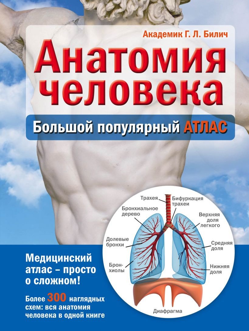 

Книга издательства Эксмо. Анатомия человека: большой популярный атлас (Билич Г.)