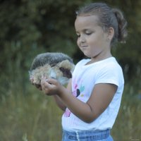 Классическая игрушка Hansa Сreation Ежик 3101 (20 см)