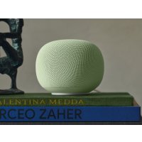 Умная колонка Google Home Speaker (нефрит)