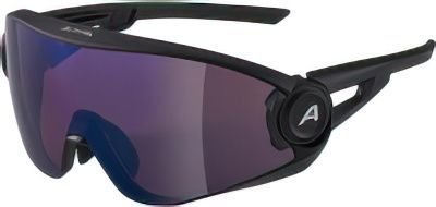 

Солнцезащитные очки Alpina 5W1NG Q+VM A8653531 (черный/матовый)