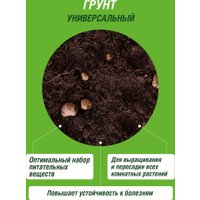 Грунт Фаско Цветочный (10 л)