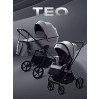 Универсальная коляска Rant Teo 2в1 RA120 (серый)