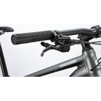 Велосипед Cannondale Trail 4 29 XXL 2020 (серый)