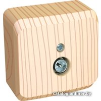 Розетка телевизионная Schneider Electric Этюд TVA-002D