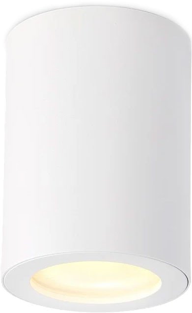 Спот Ambrella light TN22797 WH (белый)
