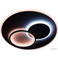 Припотолочная люстра Lusster SL 1259/500