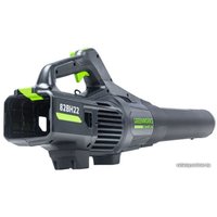 Ручная воздуходувка Greenworks GD82ABIIK5 2407007UB (с 1-им АКБ 5 Ач)