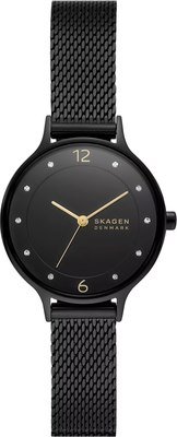 

Наручные часы Skagen SKW3112