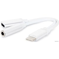 Адаптер Cablexpert CCA-UC3.5F-02-W