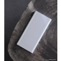 Внешний аккумулятор Xiaomi Mi Power Bank 2i 10000mAh (серебристый)