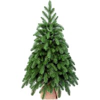 Ель Царь Елка Афродита АФР-90