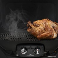 Газовый гриль для дачи Char-Broil Professional 3S