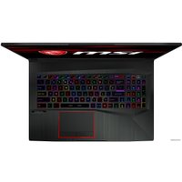 Игровой ноутбук MSI Raider GE75 10SGS-213RU