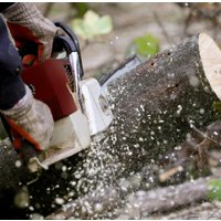 Бензопила Oasis GS-18