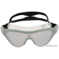 Очки для плавания ARENA The One Mask Mirror 004308 102 (серебристый/черный)