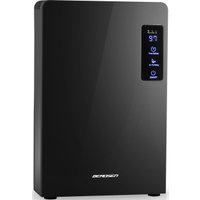 Осушитель воздуха Berdsen BR-22A (чёрный)