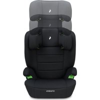 Детское автокресло Osann Musca Isofix ru103-300-05 (black osann)