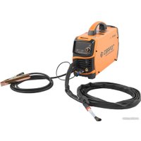 Сварочный инвертор Сварог Pro Smart TIG 200 OXIFREE (W227S)