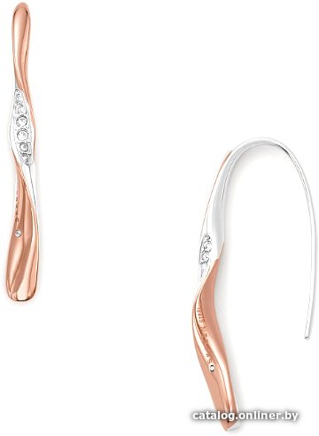 Серьги Skagen SKJ1587998