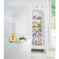 Морозильник Liebherr SIGN 3524