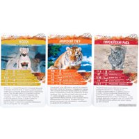 Детская настольная игра Стиль Жизни Секреты Планеты: Хищники