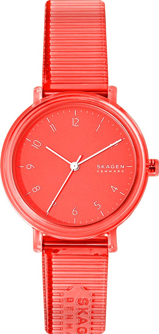 

Наручные часы Skagen Aaren SKW2856
