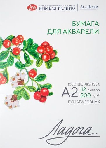 Бумага для рисования Невская палитра Ладога А2 252781934 (12 л)
