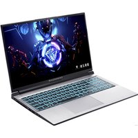 Игровой ноутбук Machenike Light 15 2023 L15-i513500H456Q165HSXX