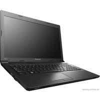 Ноутбук Lenovo B590 (59345949)