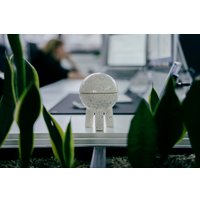 Декоративная шкатулка Ceramicmay Космошкатулка перепелка