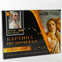 Картина по номерам Школа талантов Неизвестная 9688700