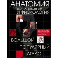 Книга издательства Эксмо. Анатомия и физиология. Большой популярный атлас (Билич Габриэль Лазаревич/Зигалова Елена Юрьевна)
