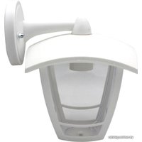 Уличный настенный светильник Элект Дели-2 НБУ 07-60-002 (белый)