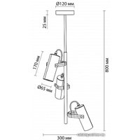 Подвесная люстра Lumion Claire 3714/3A