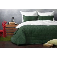 Покрывало Pasionaria Софт 160x220 с наволочками (изумрудный)
