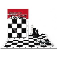 Шахматы/шашки Рыжий кот ИН-0159 в Могилеве