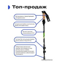 Палки для скандинавской ходьбы RoadLike 335121 (черничный)