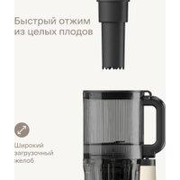 Соковыжималка Tuvio TJ04PM в Витебске