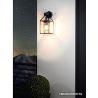 Уличный настенный светильник Eglo Trecate 97296