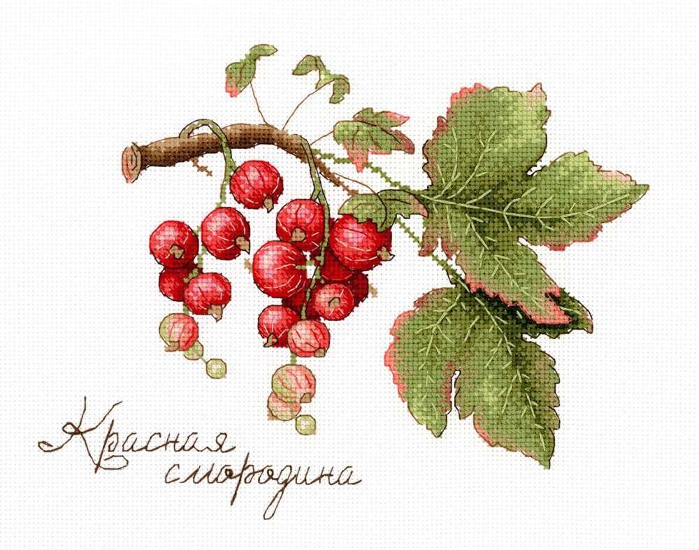 

Набор для вышивания М.П.Студия Дары природы. Красная смородина