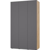 Шкаф распашной Modern Челси Ч35 (золотой дуб/графит)