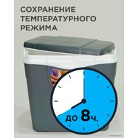 Термобокс Picnic Antarctica 24л (серый)